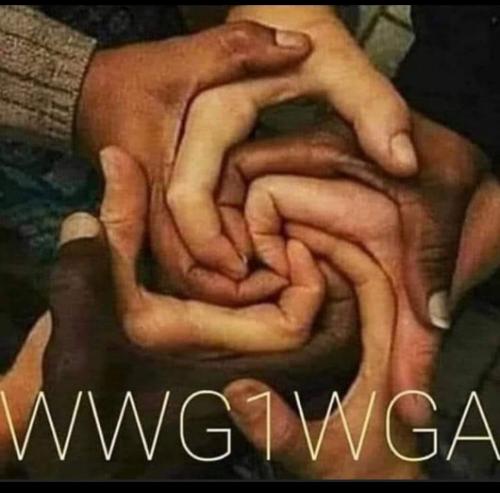 image_1643540117.479