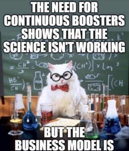 FB_IMG_1642777225742