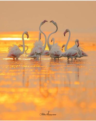 73209432-C987-4A55-AA66-49D7B8655225