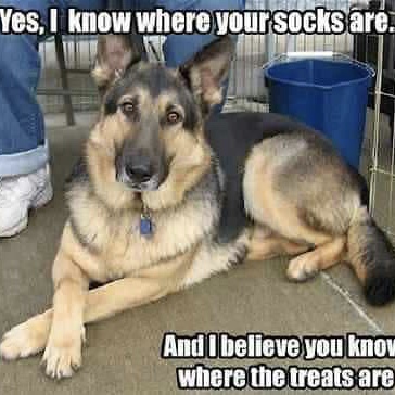 6ED3B955-CF7F-4FFD-855E-B20C0868D315