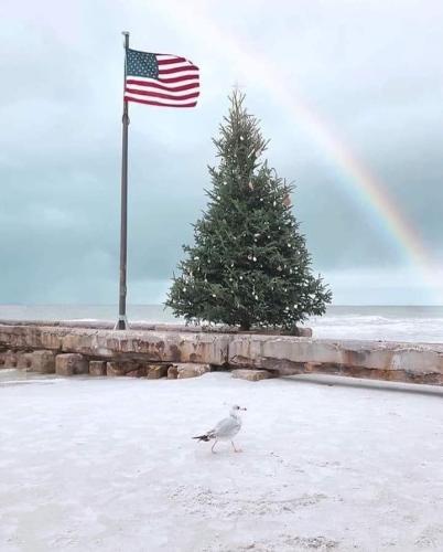 Flag - With tree and rainbow on beach