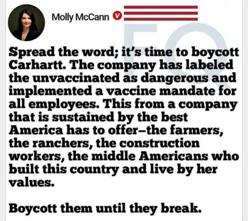 4442385689329633267(1)