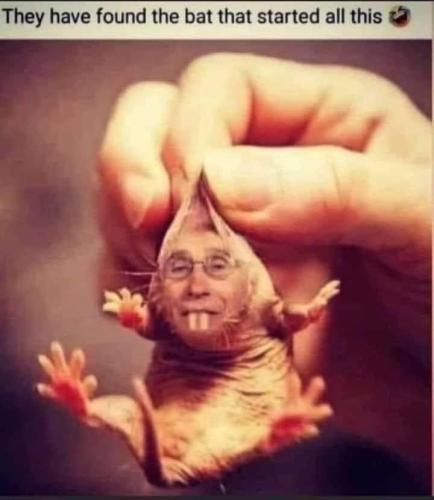 ECE9CB80-BE13-46EC-8F40-B98D0CDA9EDF