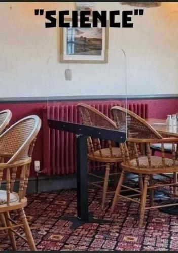 850_b4d7c1d9669213438b96f686e987c404