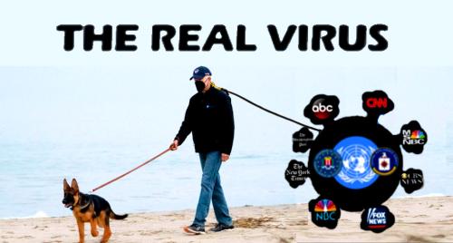 Lamestream ~The Real Virus~