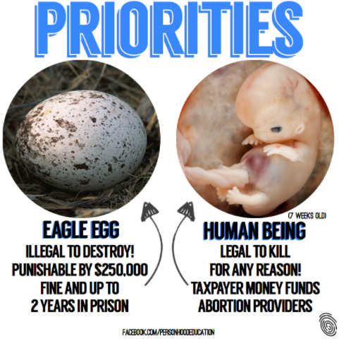 Unborn381