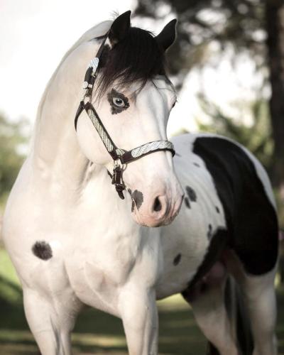 F2518E25-2BFF-4366-AA24-26FF40FD1C4F