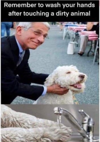 Screenshot_20220108-074415_Wimkin