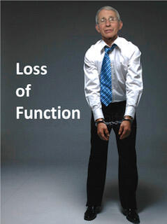 Lost+Function+Fauci