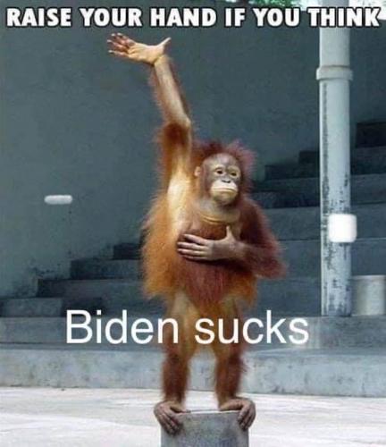 FB Biden sucks