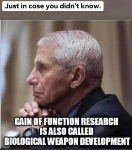 image_1642306897.397