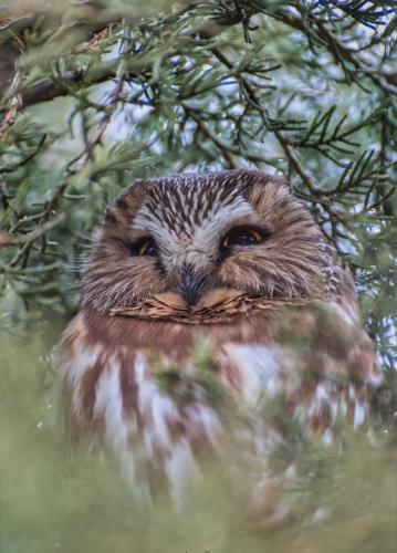 98AD37E2-1164-410E-AAC6-EA3289F86BEF