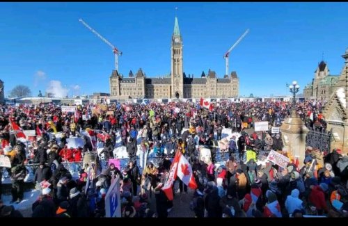 Screenshot_20220130-000417~2