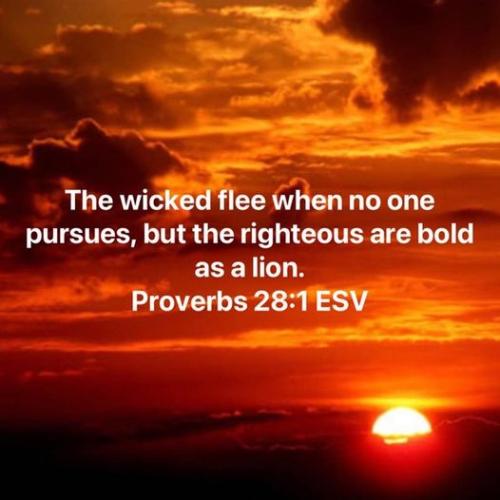 269905523_3126000704325184_2403114254377993944_n