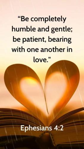 085bc81d-8e71-4469-a6dc-db4f30b619dd