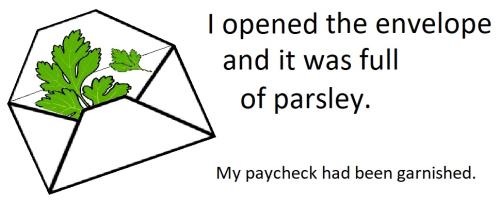 20220126 Paycheck garnished