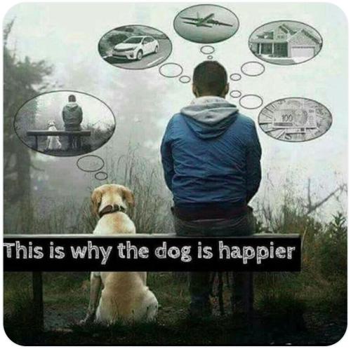 IMG_20220122_150513_178