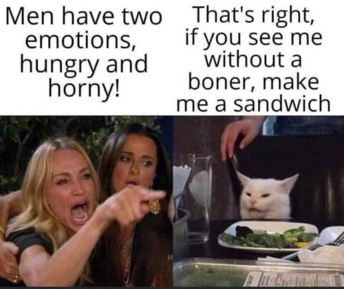 Men have two emotions hungy and horny