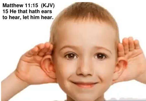 36 Ears Mat 11.15