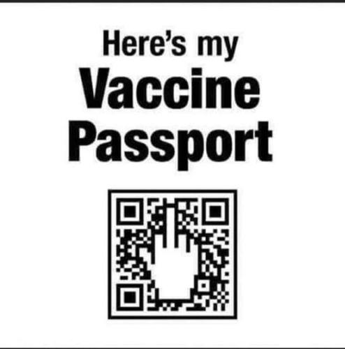 e586d9c04bf7a25aa922e15a7b971ae2_500x0