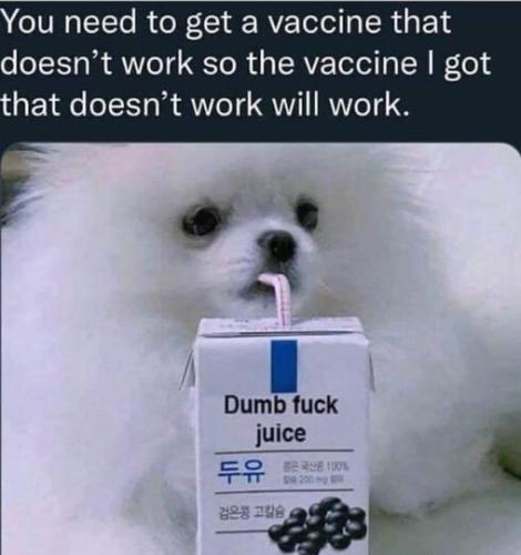 271921925_4973817879336142_8553517176006187148_n