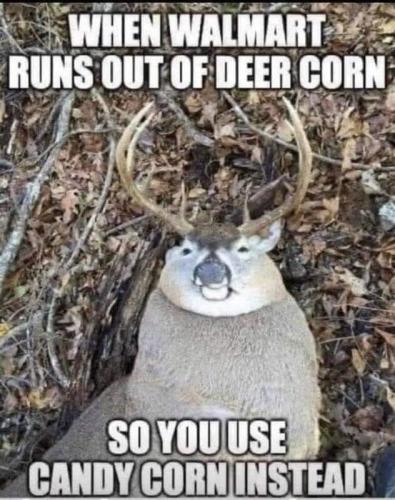 000deer corn