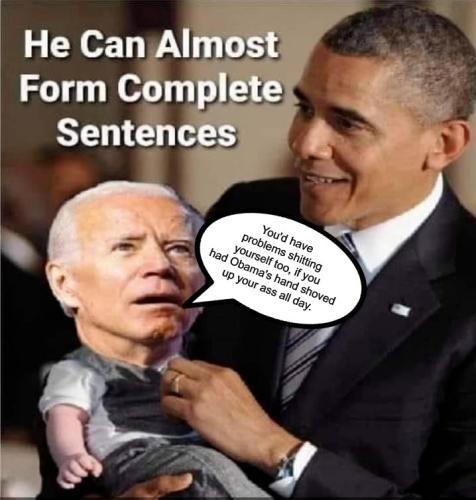Biden puppet