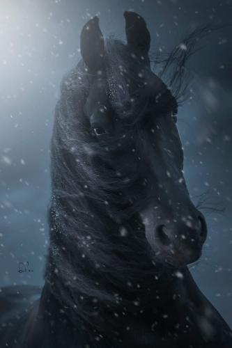 6F4D477C-B5E1-4E9D-9134-A20321997C27