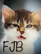 E77E7D8B-AA26-482A-A910-653DDC4E5CB8