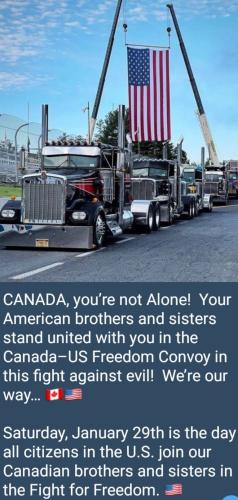 99d0b4258900ec4cd44c68d1c1b709ba_500x0