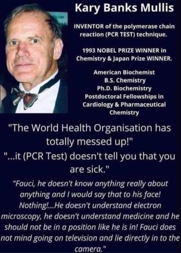 b55c2a60-873d-4ada-8abe-a6e5fe58ca09d