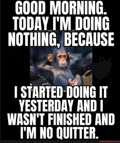 7E3ED852-5EEC-4845-9900-5D3E8AB07323