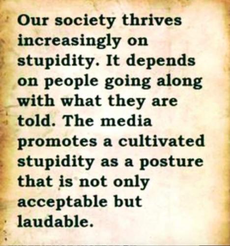 Stupiidity