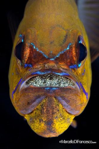 0D97841B-CE70-4E92-B427-2636C1AFE255