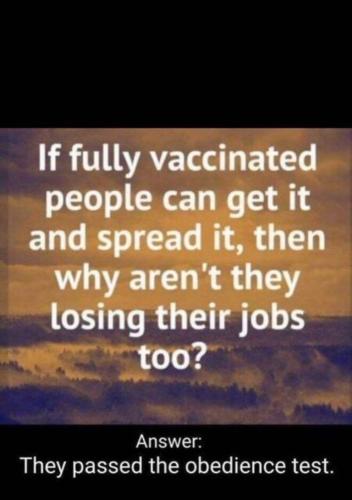 74529c0d7beda97468aa2beb68765e48_500x0