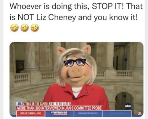 8E90C58B-E66F-4B13-A3E7-1272530F6E3E