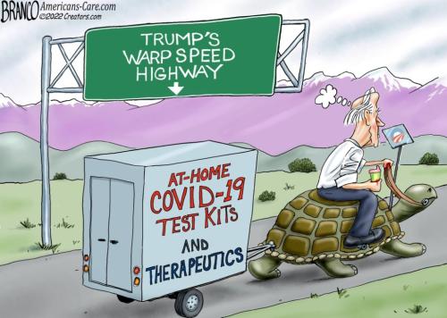 BRANCO TURTLE