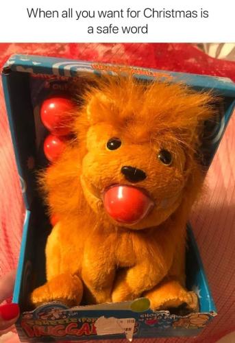 269742704_6822387301135140_41064165660658682_n