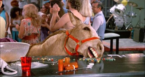 942F3EA2-DCDF-41D0-8DE1-387D775B8574