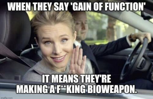 WHEN THEY SAY GAIN OF FUNCTION
