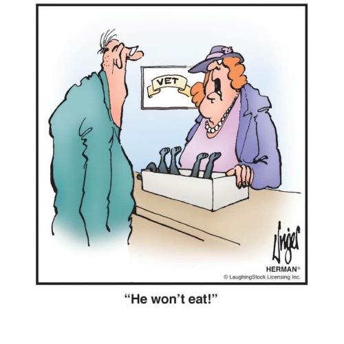 92596851_10216849284726276_3811362821808062464_n_10216849284686275