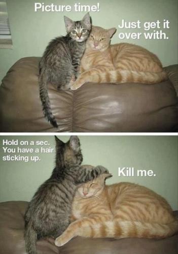 Screenshot_20220117-091643_Messages