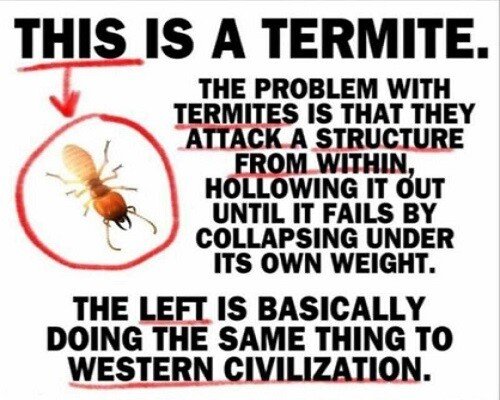 THIS IS A TERMITE