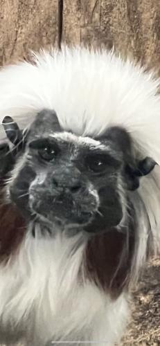 32745D51-59C3-4DE7-8F91-B4CF40CA65A9