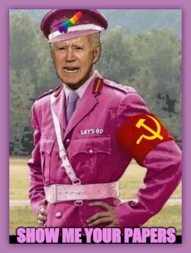 Show me your papers biden