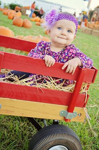 E6D98F0E-2760-482A-8128-864D1ABEE5D3