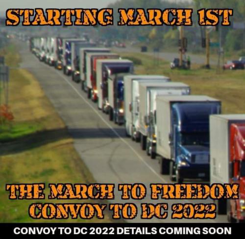 9113917a-8d20-450d-ae51-0626a0ed6967d