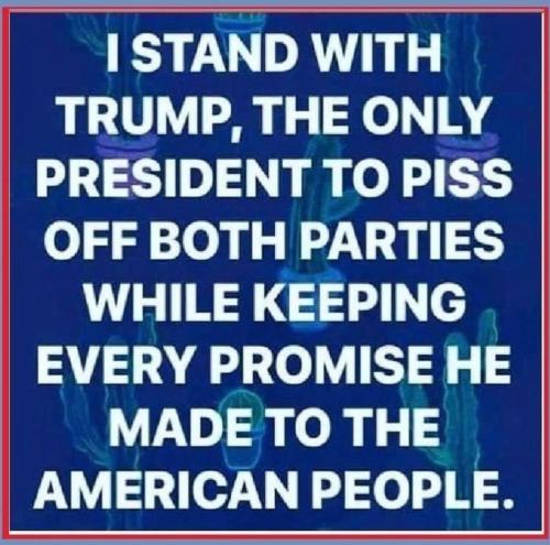 C8AE474B-F06F-40FA-AEB9-1DAB67FFAB25