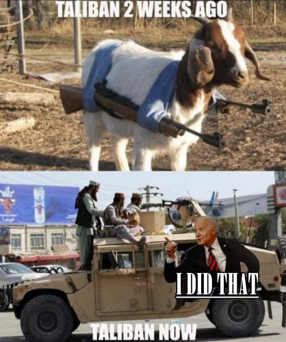 656b4a94ac06b8cc0bd63003a5576182