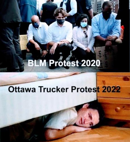 7b0951d660b0e459c9b442490cef37e8_500x0